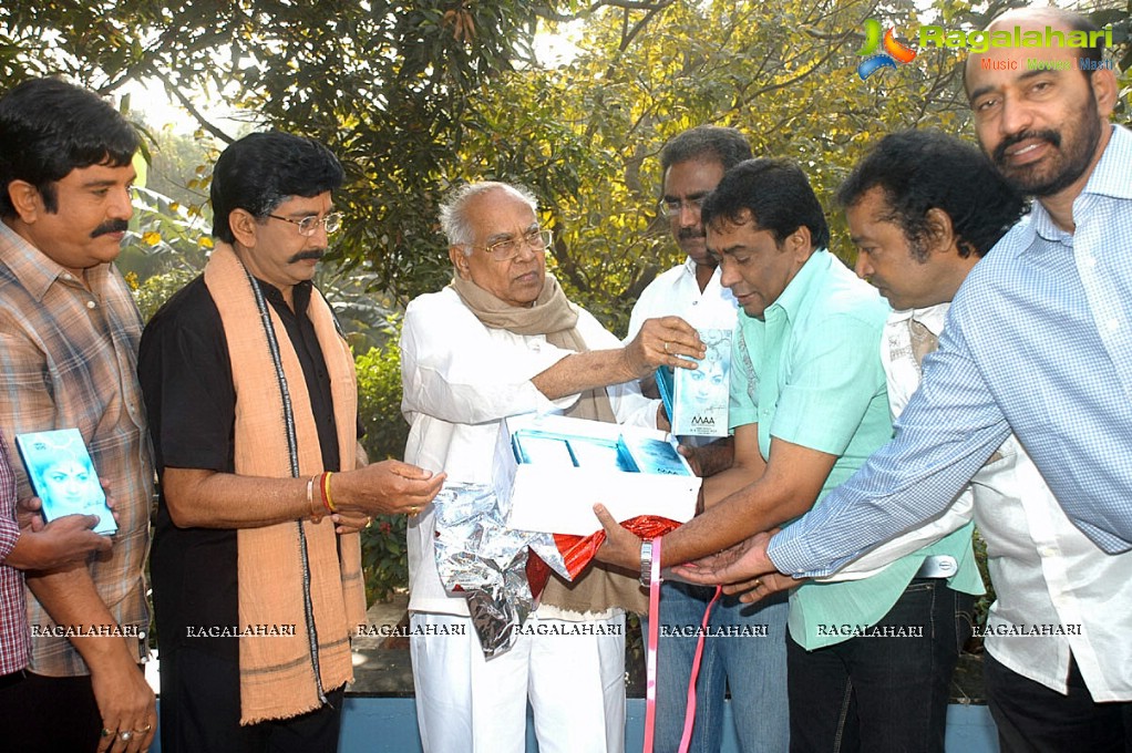 MAA Diary 2012 Launch