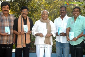 MAA Diary 2012 Launch