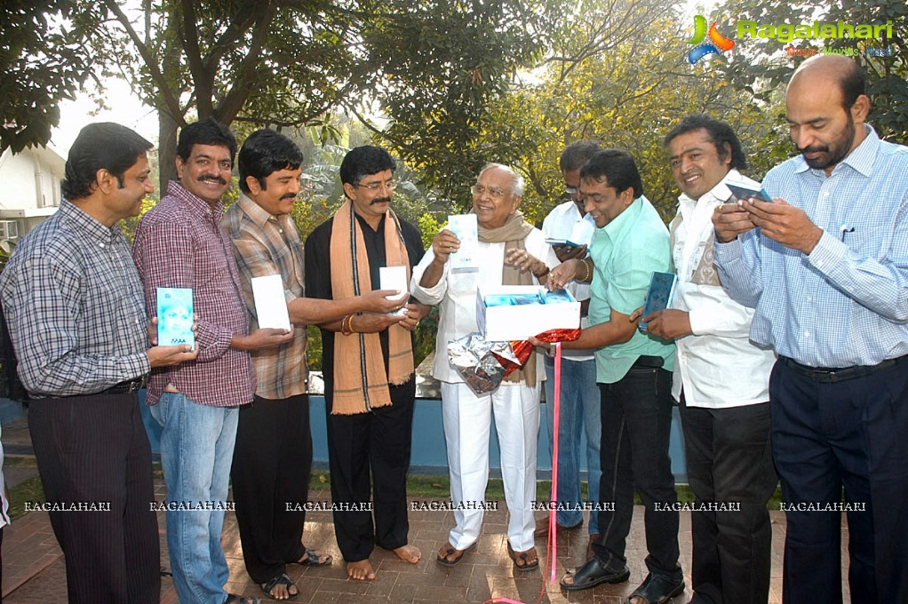 MAA Diary 2012 Launch