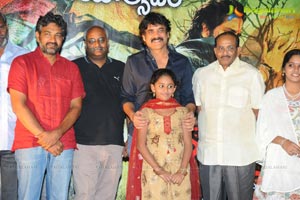 Rajanna Success Meet