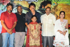 Rajanna Success Meet