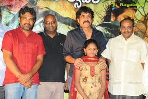 Rajanna Success Meet