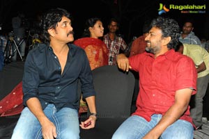 Rajanna Success Meet