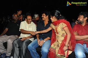 Rajanna Success Meet