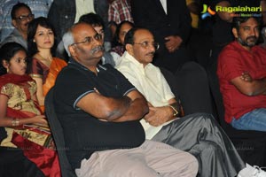 Rajanna Success Meet