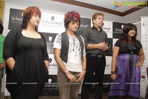 Schwarzkopf Professional's Essential Looks 2011