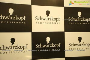 Schwarzkopf Professional's Essential Looks 2011