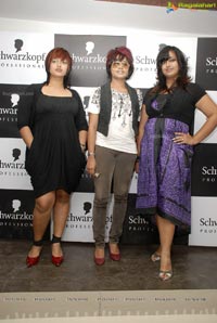 Schwarzkopf Professional's Essential Looks 2011