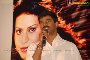 Singer Madhoo's Yo Baby Music Album Launch