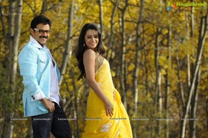 Venkatesh, Trisha, Saloni