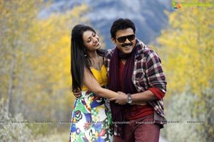 Venkatesh, Trisha, Saloni