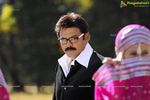 Venkatesh, Trisha, Saloni