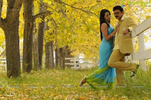 Venkatesh, Trisha, Saloni