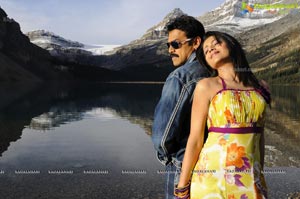 Venkatesh, Trisha, Saloni