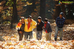 Krishnudu, Vimala Raman, Sashank, Archana (Veda), 143 fame Sameeksha