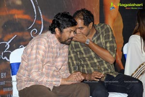 KVJ Success Meet