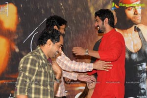 KVJ Success Meet