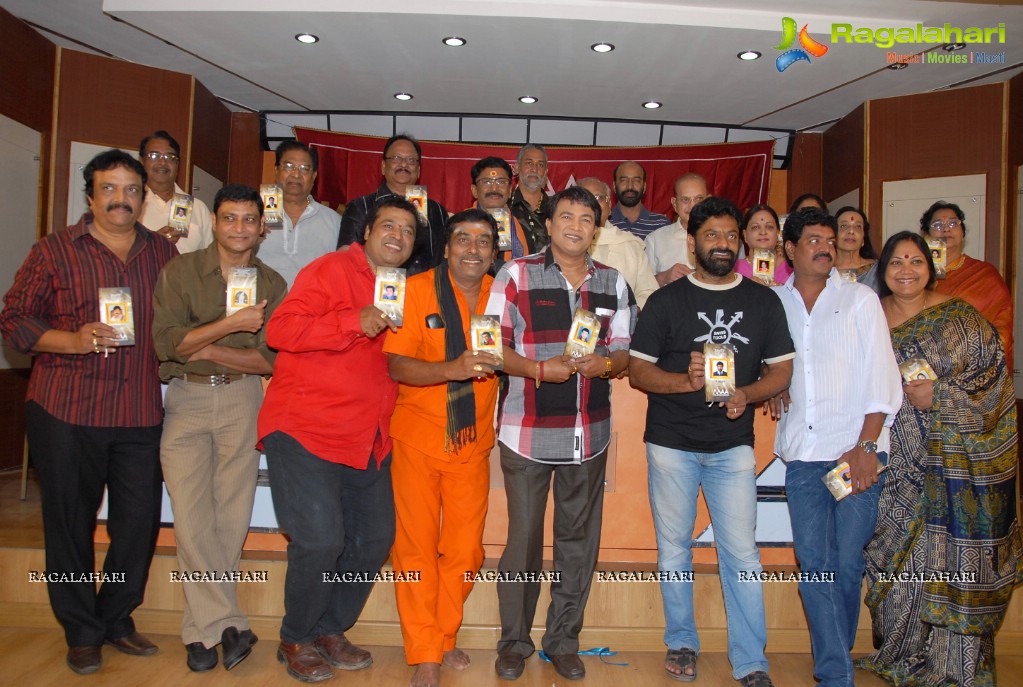 MAA Diary 2013 Launch