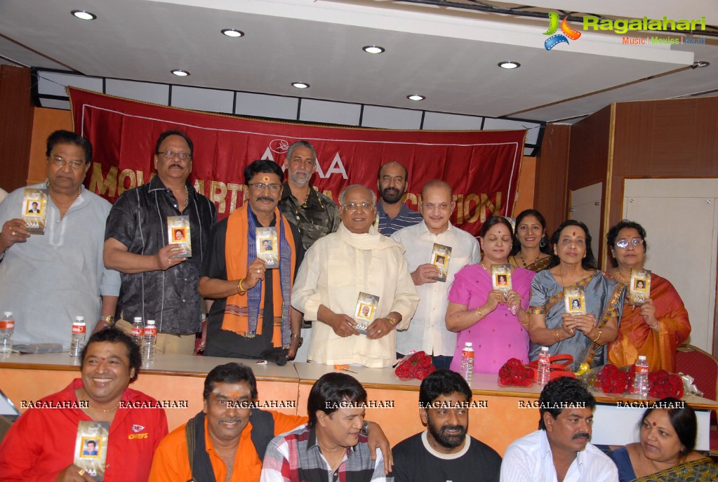 MAA Diary 2013 Launch