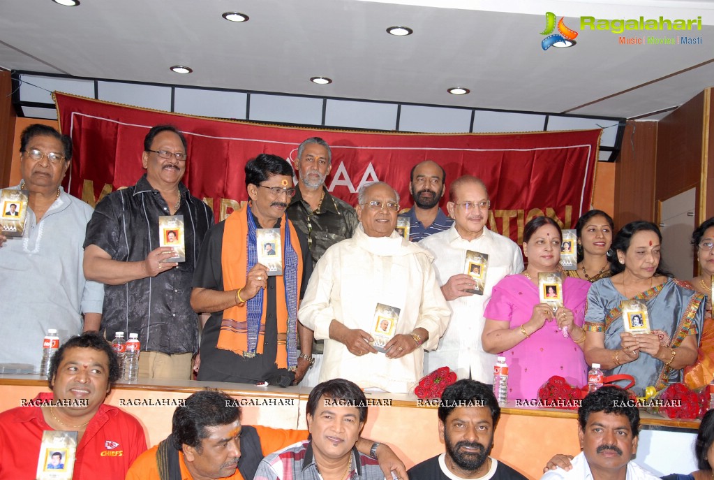 MAA Diary 2013 Launch