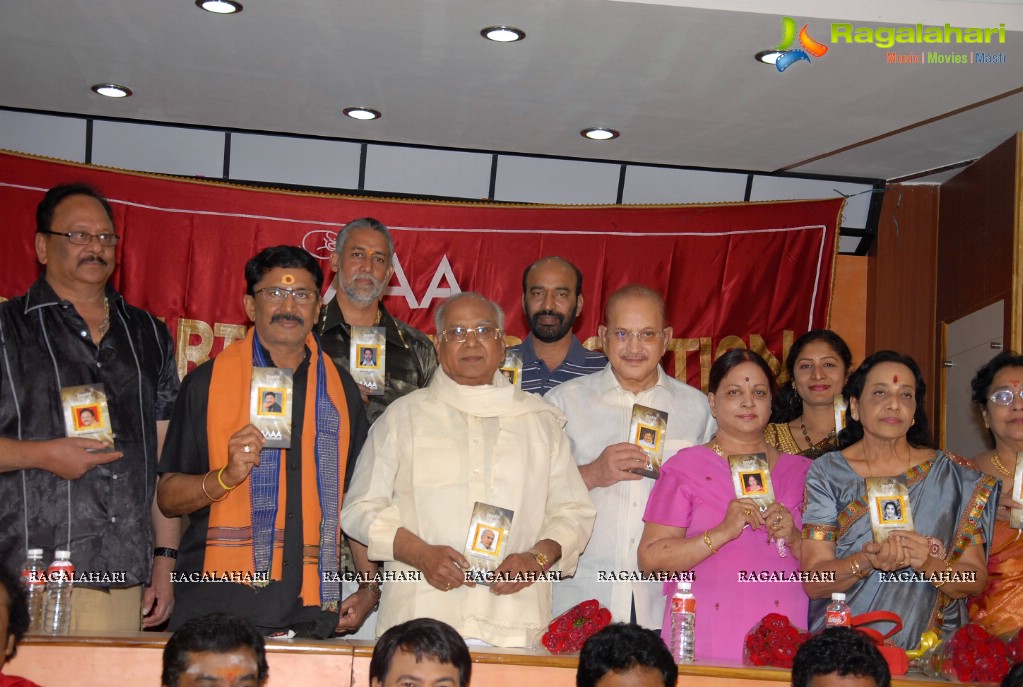 MAA Diary 2013 Launch