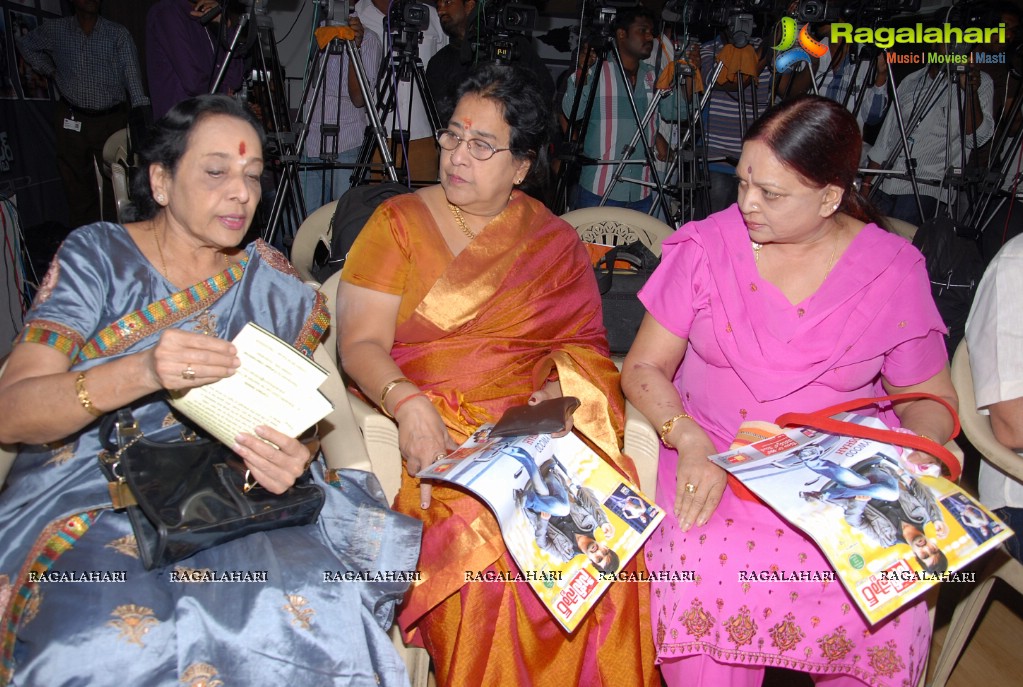 MAA Diary 2013 Launch