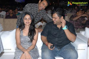 Naayak Audio Release