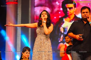 Ram Charan Nayak Audio Release Function