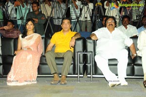 Viswaroopam Audio Release Photos