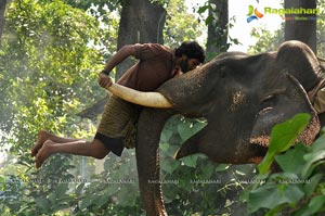 Gajaraju Vikram Prabhu Lakshmi Menon