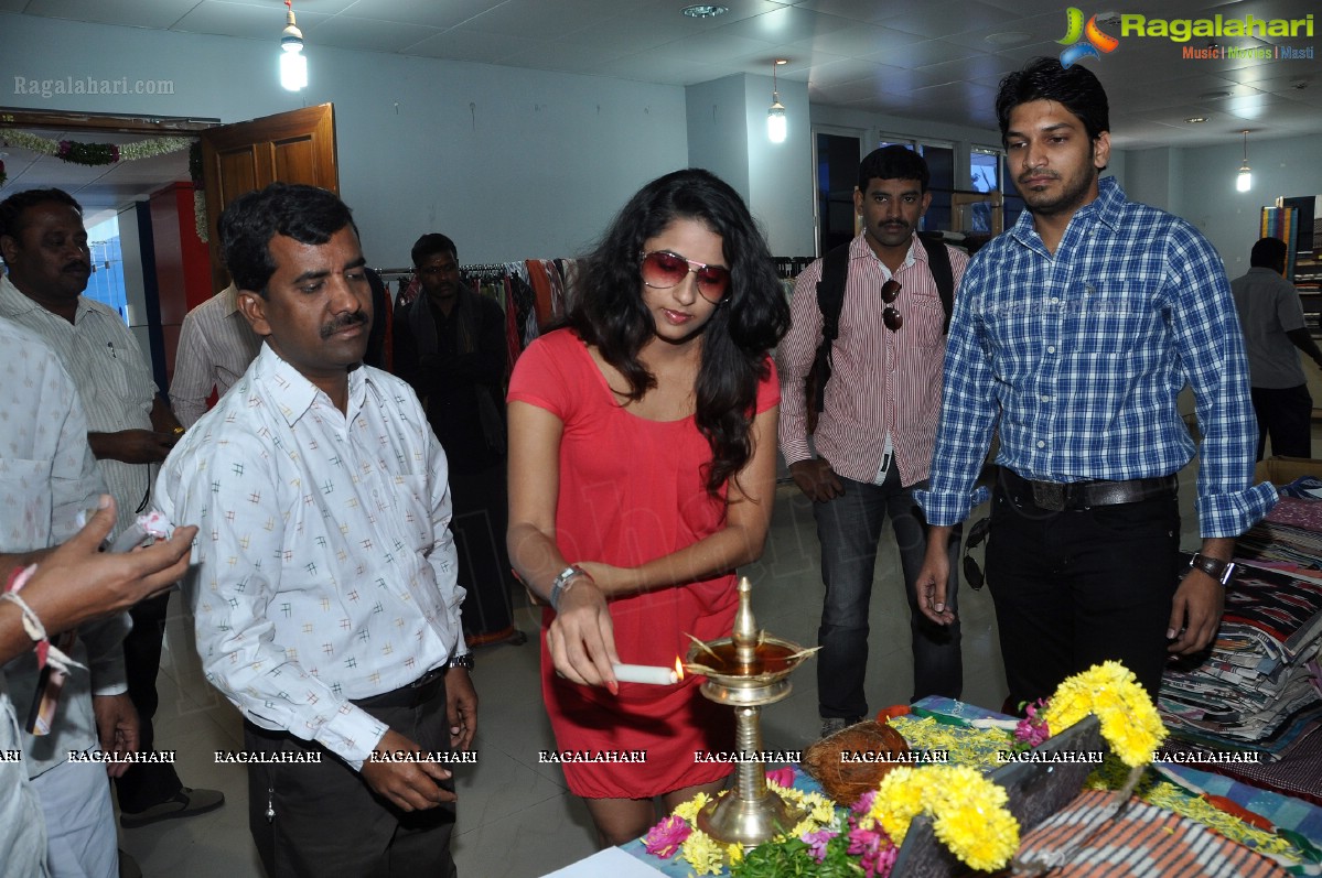 Shravya Reddy inaugurates Pochampally IKAT Mela 2012, Hyderabad