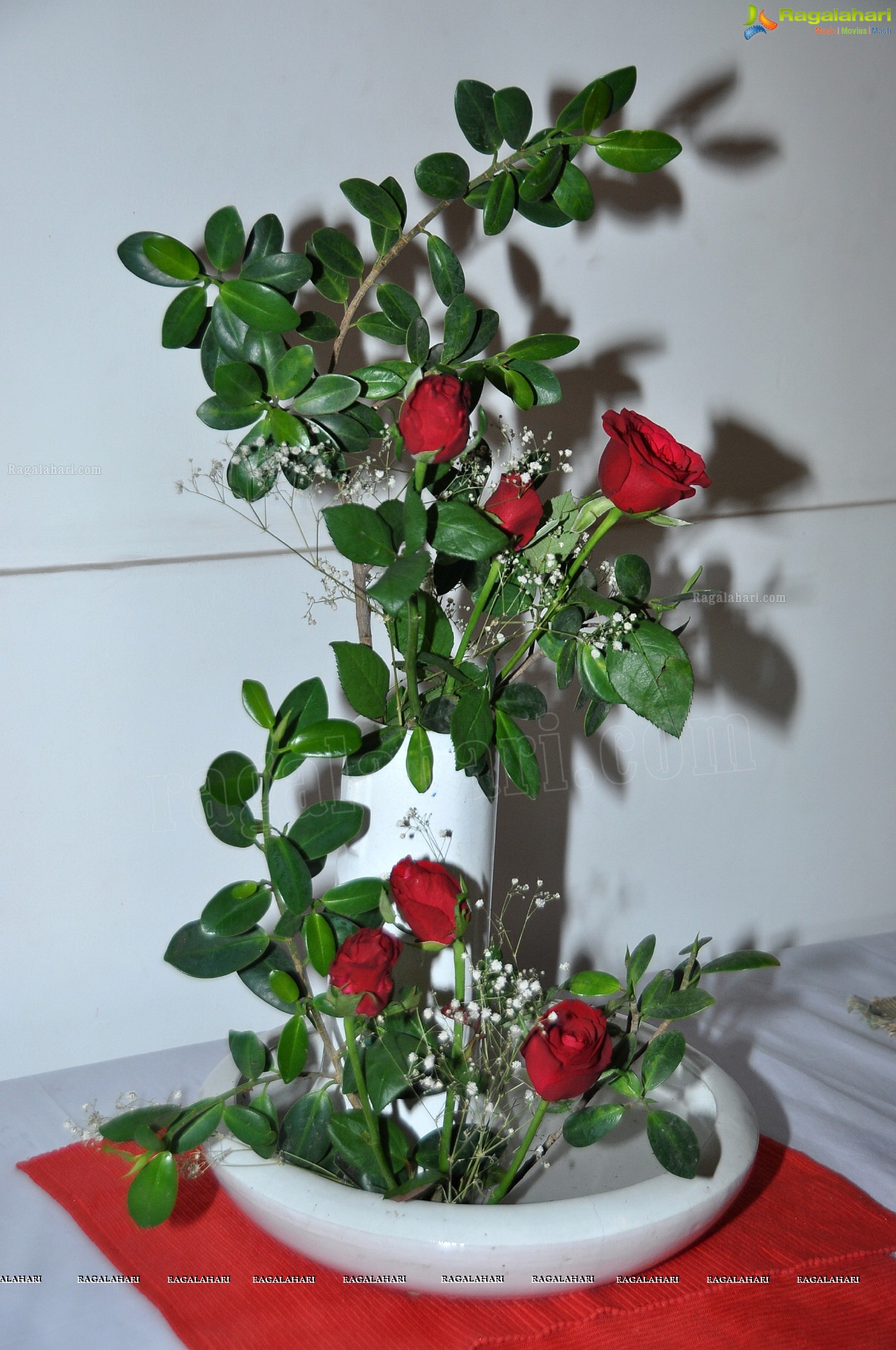 36th Annual Rose Show by Hyderabad Rose Society