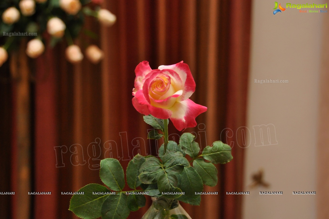 36th Annual Rose Show by Hyderabad Rose Society