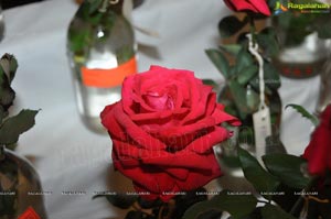 Beautiful Rose Flowers Show