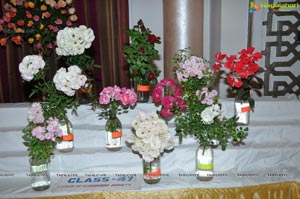 Beautiful Rose Flowers Show