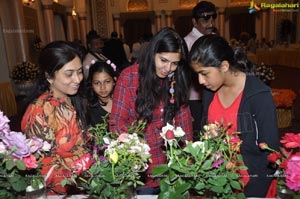 Beautiful Rose Flowers Show