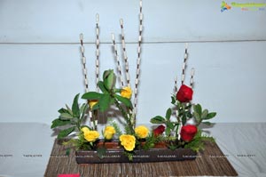 Beautiful Rose Flowers Show