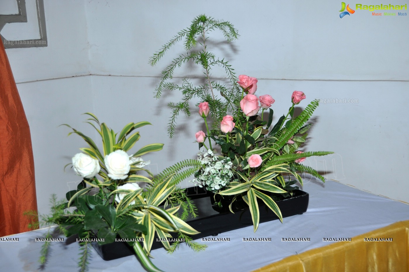 36th Annual Rose Show by Hyderabad Rose Society