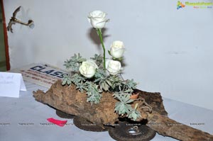 Beautiful Rose Flowers Show