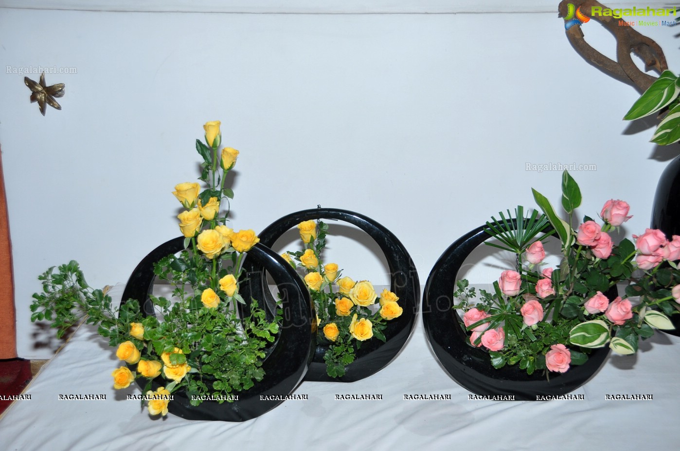 36th Annual Rose Show by Hyderabad Rose Society