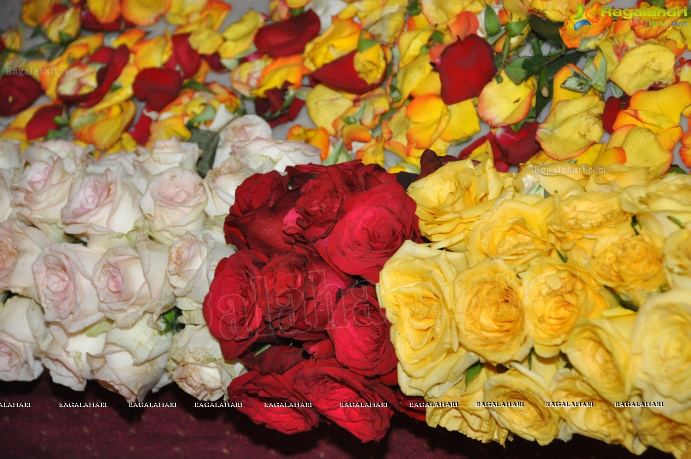 36th Annual Rose Show by Hyderabad Rose Society