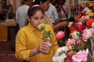 Beautiful Rose Flowers Show