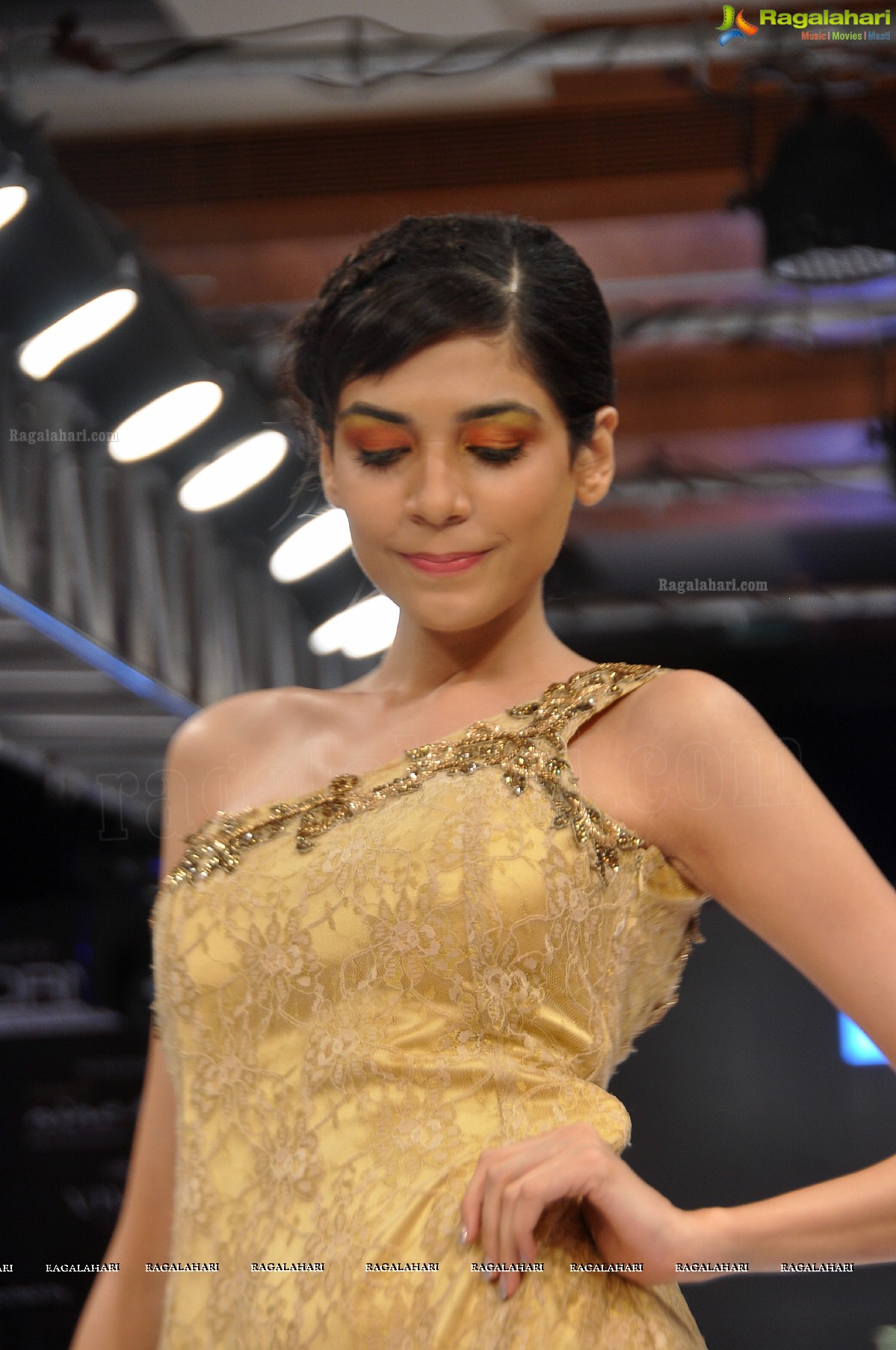 Blenders Pride Hyderabad International Fashion Week (Day 3)