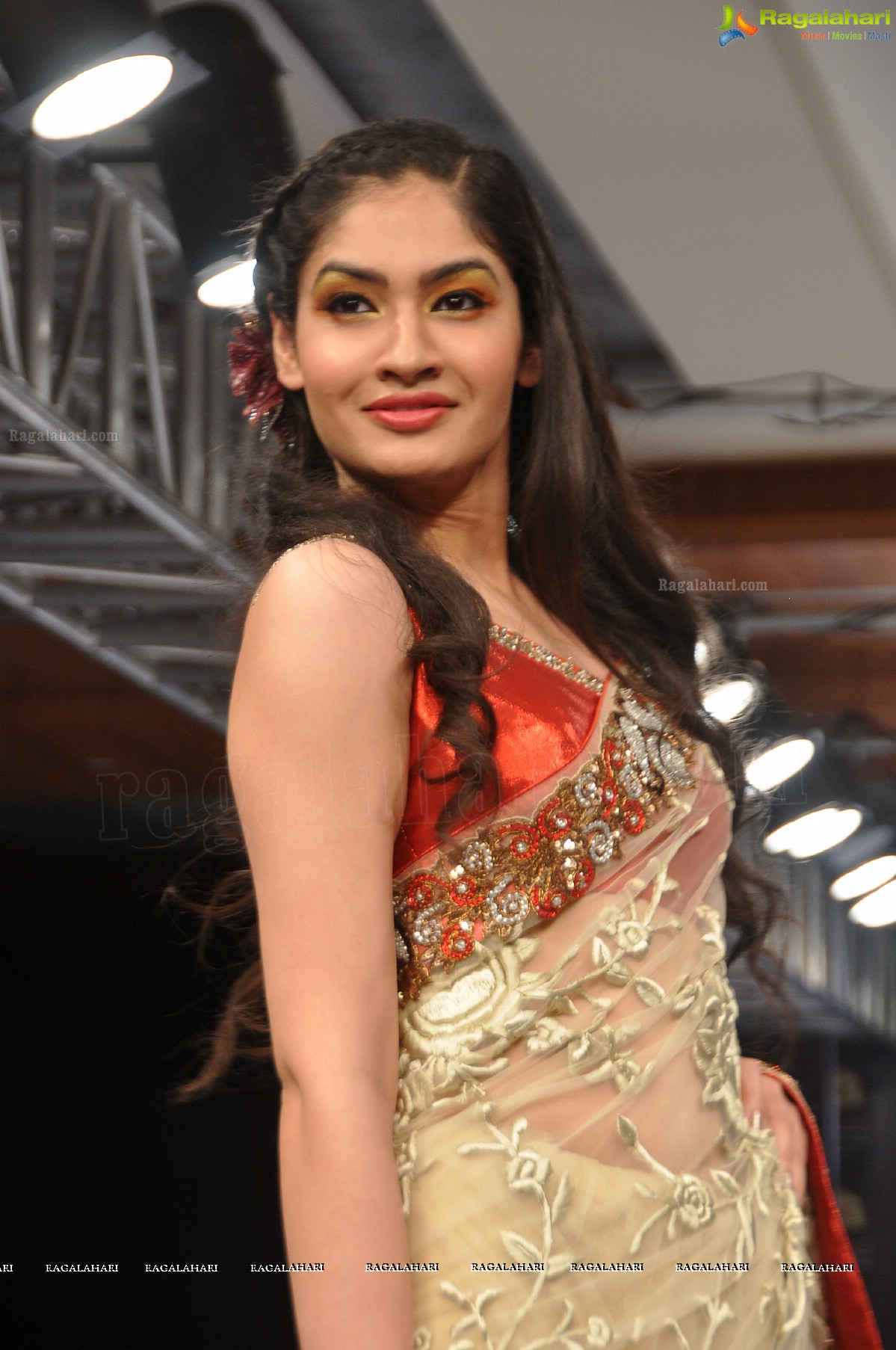 Blenders Pride Hyderabad International Fashion Week (Day 3)