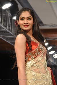 Blenders Pride Hyderabad International Fashion Week 2012