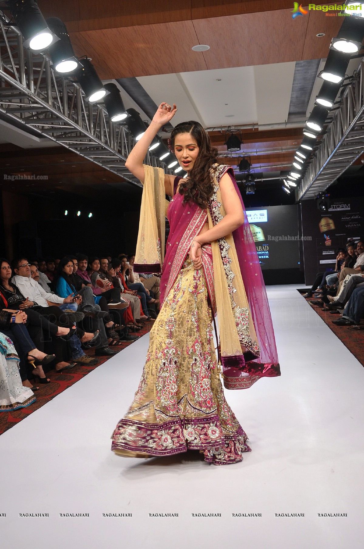 Blenders Pride Hyderabad International Fashion Week (Day 3)