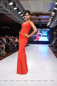 Blenders Pride Hyderabad International Fashion Week 2012