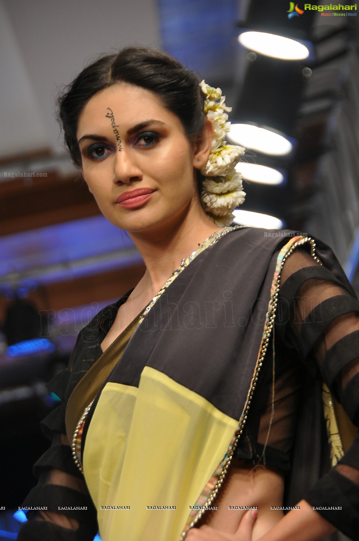 Blenders Pride Hyderabad International Fashion Week (Day 3)