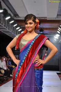 Blenders Pride Hyderabad International Fashion Week 2012