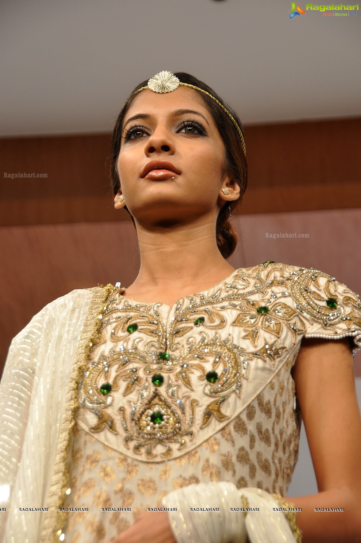 Blenders Pride Hyderabad International Fashion Week (Day 2)